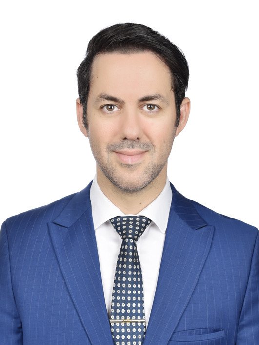 Dr. Mehdi Salman Pour